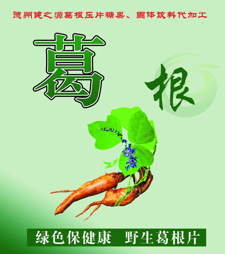 葛根，男女通用的人體調(diào)理專(zhuān)家