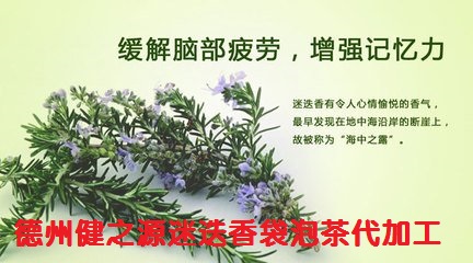 緩解腦部疲勞 預防脫發(fā)的好茶--迷迭香茶